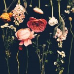 bloementrend poppies