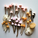bloementrend paddestoelen