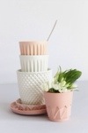 pastel Lenneke Wispelwey