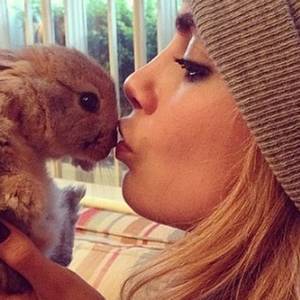cecil instagram-dieren