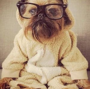 digby van winkle instagram-dieren